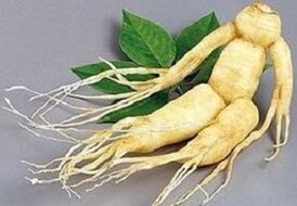 İnfüzyon yapmak için ginseng kökü